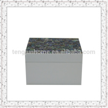 Paua Shell Storage Box with White Paint